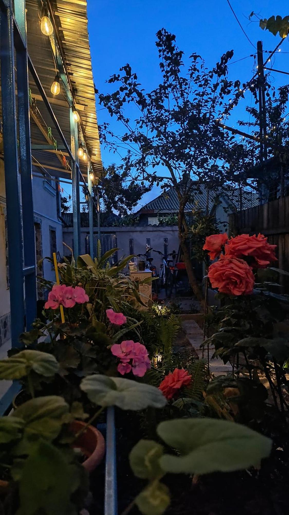 Stuffstock Hostel 술리나 외부 사진